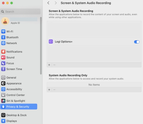 Screen_System_Audio_Rec.jpg
